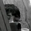 ney3n_1tm