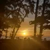 trinhnguyen_86