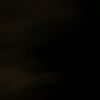 onenonly.boana