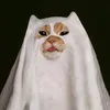 gelxx_1