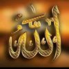 dieumbesarr531