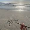 hdo_019