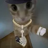 ysk_zalu