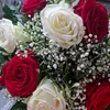donia_latif