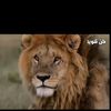 walanweyso5