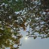 صدقه جاريه لـ جدي