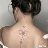 widi_gemini