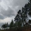 _klp014