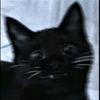 edwardkitty1011
