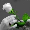 muhammd.naseem2