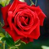 user2076679038174