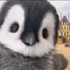 vtiencute24