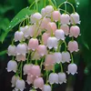 an.nhin1371
