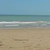 mirkomanetti2