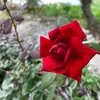 thanhthuy1702_