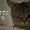 cateyeay