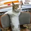 laxusivyogy