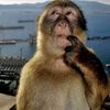 skibidi_13202