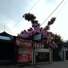 adz_kiy10
