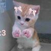 iririris_0