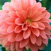 nancysloane810