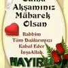 lokmanozcan475