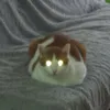 userturh7uh2tg