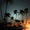 makmuga_124