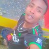 allantez_254