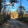 bethscountryliving