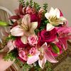 laylaahmed6756