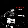newmtz_