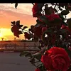 usersu8pvtawcg