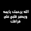 user9159q8gkg8