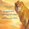 صــــــــــقـــــر
