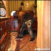albertto141