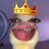 wllnolvr