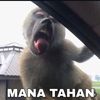 gi_inggi15