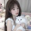 26_linh