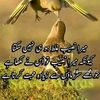 user5070907819461