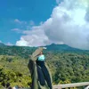 nprtiwii