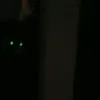 rngkd80