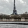 pascalpascal7479