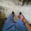 zul4368