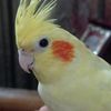 birb12345