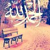 elhamibrahim277