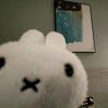 littlebunny0774