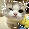 tuongvy212ne_