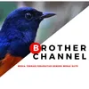 Brother Channel