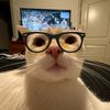 foreignobject_